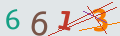 verifycode